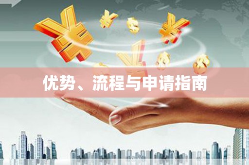 金城江优势、流程与申请指南