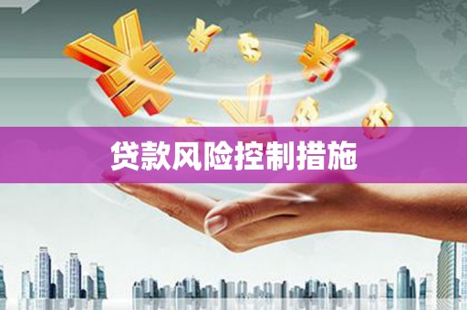 金城江贷款风险控制措施