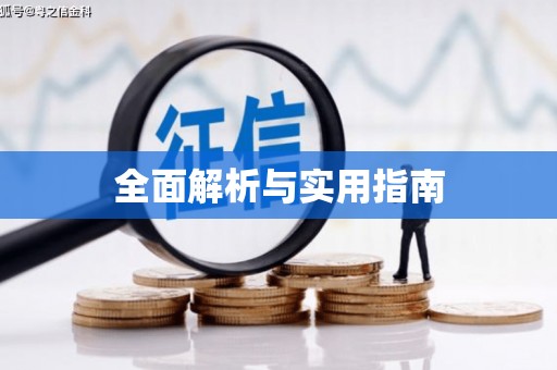 金城江全面解析与实用指南
