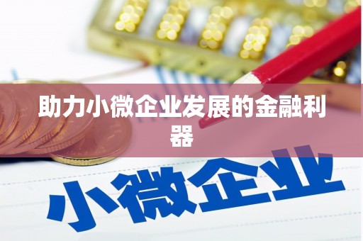 金城江助力小微企业发展的金融利器
