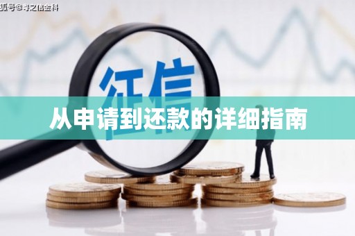 金城江从申请到还款的详细指南