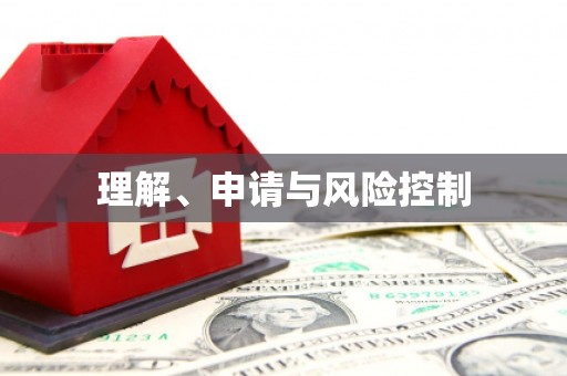 金城江理解、申请与风险控制