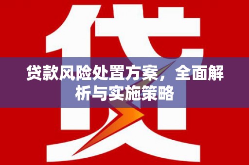 金城江贷款风险处置方案，全面解析与实施策略