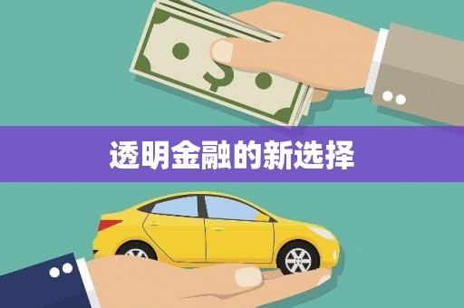 金城江透明金融的新选择