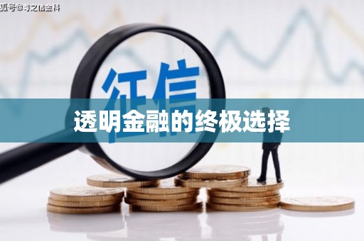 金城江透明金融的终极选择