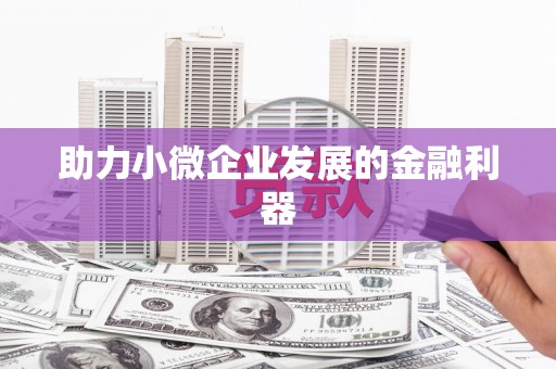 金城江助力小微企业发展的金融利器