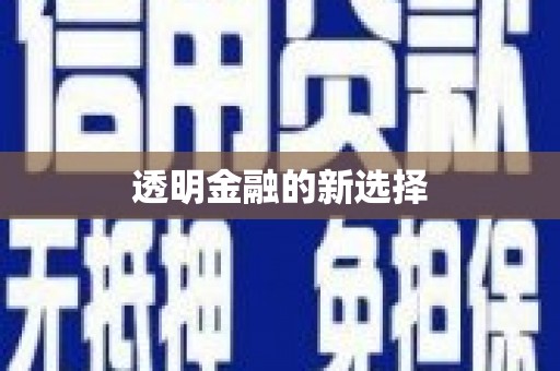 金城江透明金融的新选择