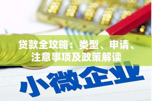 金城江贷款全攻略：类型、申请、注意事项及政策解读