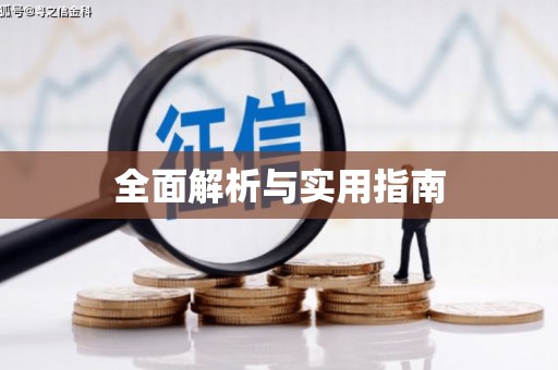 金城江全面解析与实用指南