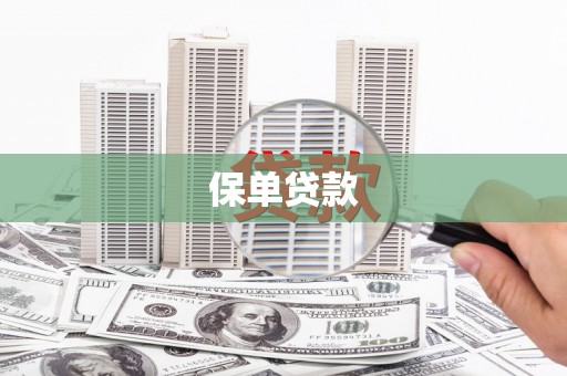 金城江保单贷款